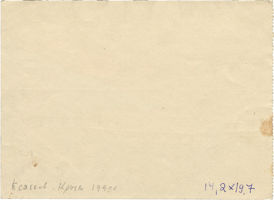 Бехтеев Владимир Георгиевич. Крым